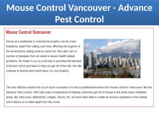 Mouse Control New Westminster.pptx