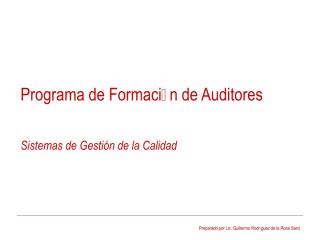Programa -  Auditor interno.pdf